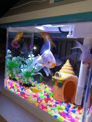 حوض سمك للبيع