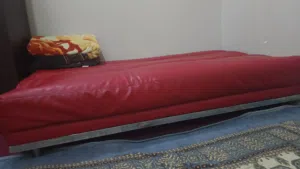 sofa bed  (Leather )