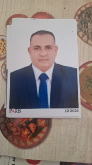 سيد 