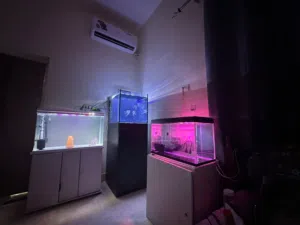 3 Aquariums