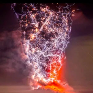 ابويوسف محمد