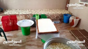 مطلوب شريك ممول لمعمل اجبان  يعمل الجبنه البلديه يعمل بشكل جيد بس بحاجه الى تطوير وتاهيل