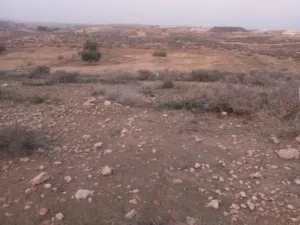 Mixed Use Land for Sale in Al Khums Other