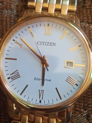 Analog Quartz Citizen watches for sale in Amman
