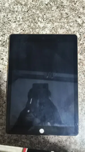 Apple iPad Pro 128 GB in Salt