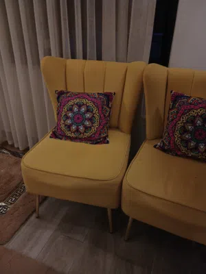 كراسي جانبيه مفردتين للبيع