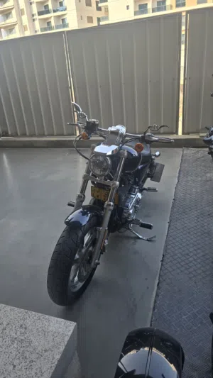 Harley sportster 1200 custo.