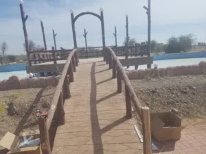 مقاول بناء ونجارة وصيانة عامة في العين