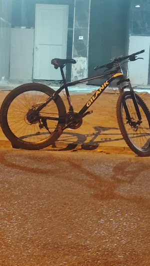مقاس 29 xl