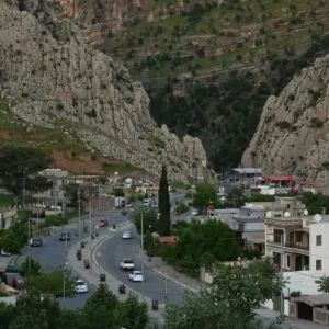 داود سالم 