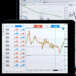 money market 
