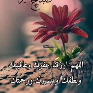 البلوشي 