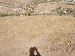 Farm Land for Sale in Salt Al Balqa'