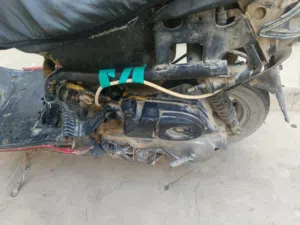 فراشه نثيه