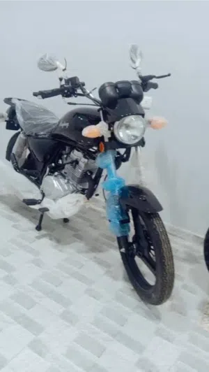 هاوجن3نحله2025