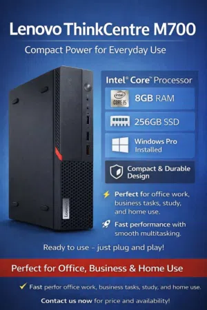 Lenovo ThinkCenter M700