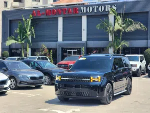 Used Hyundai Santa Fe in Tulkarm