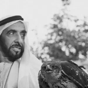 علي 