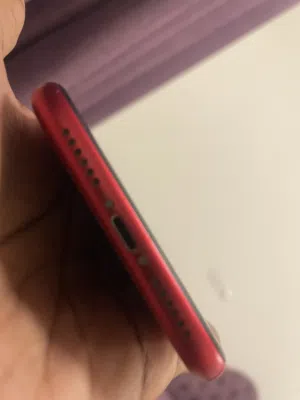 Apple iPhone 11 128 GB in Northern Governorate