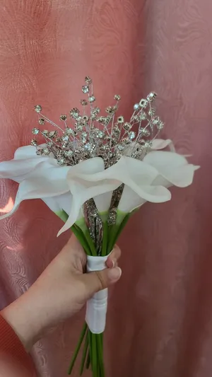 ‏اخرى ‏.‏ جديد‏0