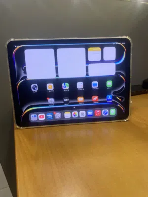 Apple iPad Pro 256 GB in Central Governorate