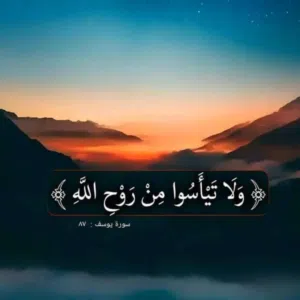 عبودي 1991 
