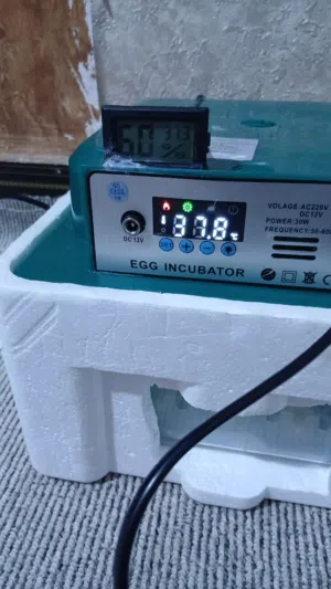 فقاسة 16 بيضة