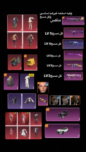 Pubg Accounts and Characters for Sale in Al Batinah