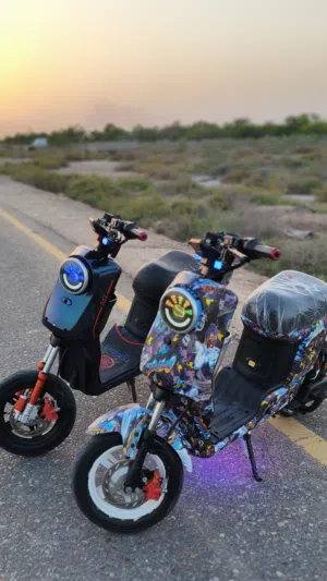 دراجه شحن R11 الشكل القديم الملف ال 2000W