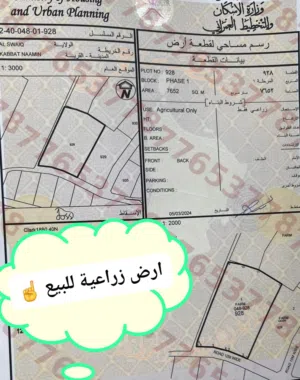 Farm Land for Sale in Al Batinah Suwaiq