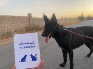 بيع او تبديل