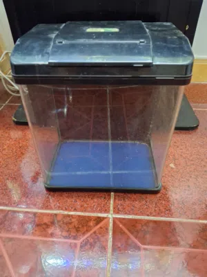 Aquarium (6 gallon) (23 litres) - with all accessories