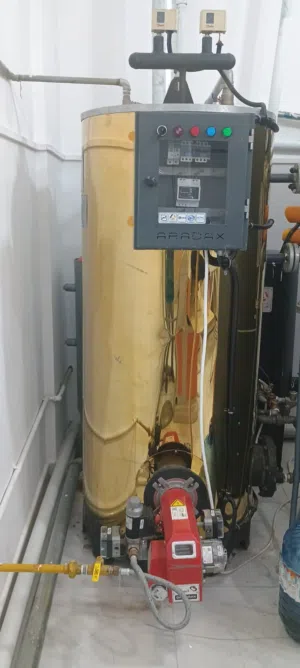 Brand New and Clean Iron and Steam Boiler-Suitable for Laundry and Dry Cleaning