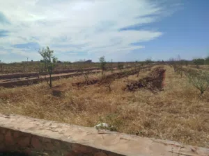 residential-land-for-sale-in-benghazi-sidi-khalifa
