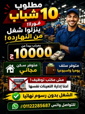 فرص عمل للشباب فقط