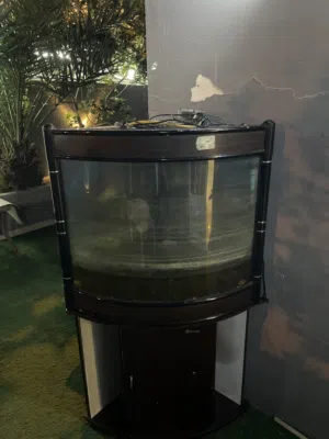 للبيع حوض سمك كبير