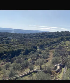 Farm Land for Sale in Salt Jala'd