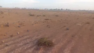 Farm Land for Sale in Mafraq Al-Khalidya