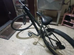 بسكليت بس بده فحمات وكرسي السعر180شيكل