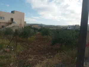 Residential Land for Sale in Irbid Kitim