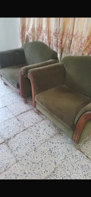 تخم زيتوني