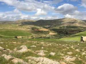 Farm Land for Sale in Zarqa Birayn