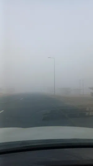 ابو محمد الهاشمي 