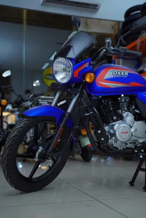 Other ‏Other ‏2025 ‏11- 250 cc