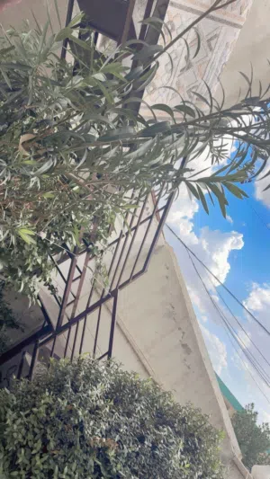 درج حديد خارجي