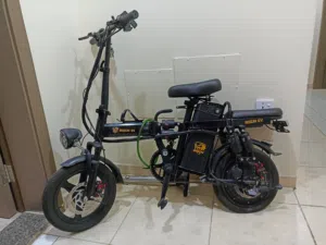 Electric bicycle (bison ev) دراجة كهربائية