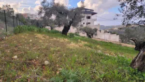 Mixed Use Land for Sale in Ramallah and Al-Bireh Kaubar