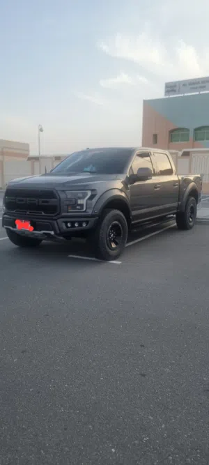 FORD RAPTOR 2019 CLEAN TITEL