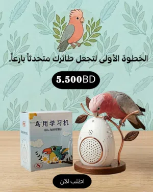 جهاز التسجيل لتعليم الطيور