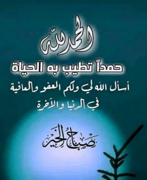 محمودعطيه 